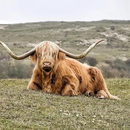 Sjaantje Horská chata Egmond aan den Hoef