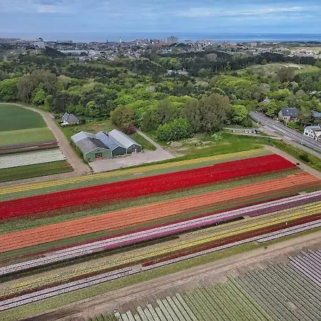 木屋 Sjaantje 埃赫蒙德·安登胡夫